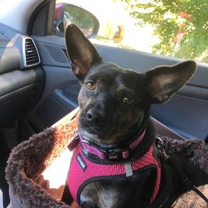 Meet your Posher, Stephanie